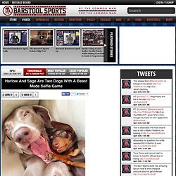 » Harlow And Sage Are Two Dogs With A Beast Mode Selfie Game Barstool Sports
