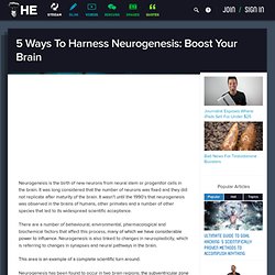 5 Ways To Harness Neurogenesis: Boost Your Brain