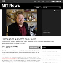 Harnessing nature’s solar cells