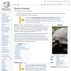 Harriet the tortoise
