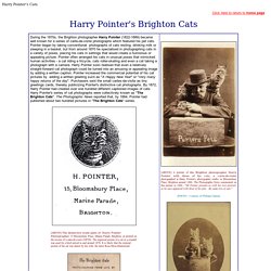 Harry Pointer