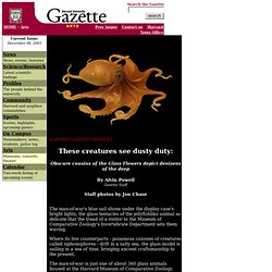 Harvard Gazette: These creatures see dusty duty