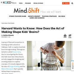 Harvard Wants to Know: How Does the Act of Making Shape Kids’ Brains?