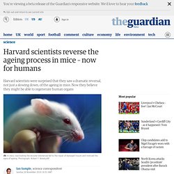 Harvard scientists reverse the ageing process in mice – now for humans