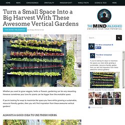 Turn a Small Space Into a Big Harvest With These Awesome Vertical Gardens