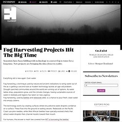 Fog Harvesting Projects Hit The Big Time