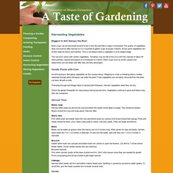 Harvesting Vegetables - Taste of Gardening - University of Illinois Extension
