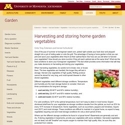 Harvesting and storing home garden vegetables : Vegetables : Yard and Garden