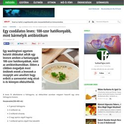 Egy csodálatos leves: 100-szor hatékonyabb, mint bármelyik antibiotikum