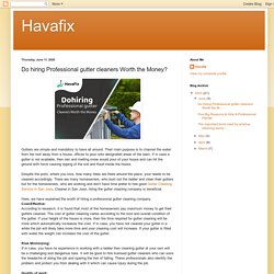 Havafix: Do hiring Professional gutter cleaners Worth the Money?
