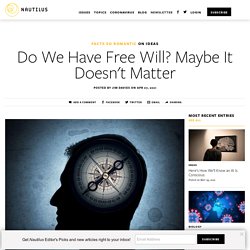 Do We Have Free Will? Maybe It Doesn't Matter