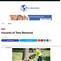 Hazards of Tree Removal