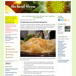 The Hazel Bloom: The Best Macaroni and Cheese Recipe Ever