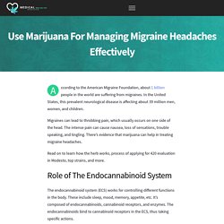 Manage Migraine Headaches Effectively With Marijuana