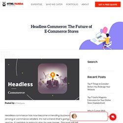 Headless Commerce: The Future of E-Commerce