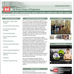 Headquarters U.S. Army Corps of Engineers > Missions > Environmental > Invasive Species Management