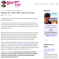 Healing Your Heart After Losing Your Dog - She Blossoms