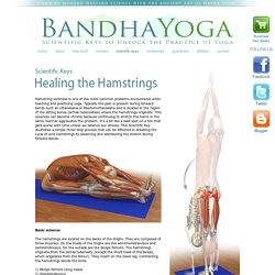 Healing the Hamstrings