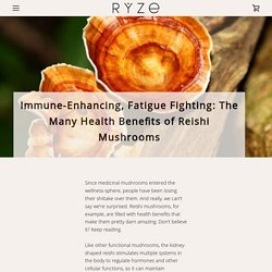 Health Benefits of Reishi Mushroom – RYZE