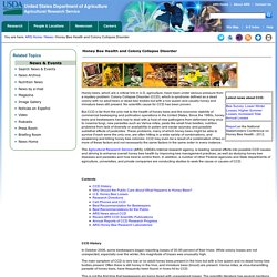 ARS USDA - Questions and Answers: Colony Collapse Disorder