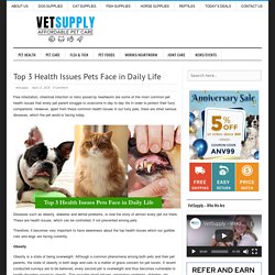 Top 3 Health Issues Pets Face in Daily Life