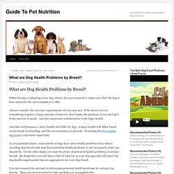 What are Dog Health Problems by Breed? Guide To Pet Nutrition