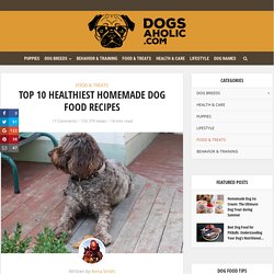 Top 10 Healthiest Homemade Dog Food Recipes