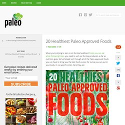 20 Healthiest Paleo Approved Foods - Paleo Grubs