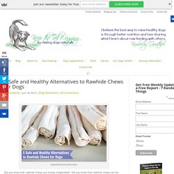 5 Safe and Healthy Alternatives to Rawhide Chews for Dogs