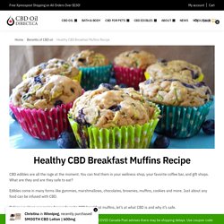Healthy CBD Breakfast Muffins Recipe - CBD Oil Direct