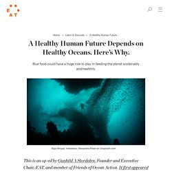 A Healthy Human Future Depends on Healthy Oceans. Here's Why. - EAT