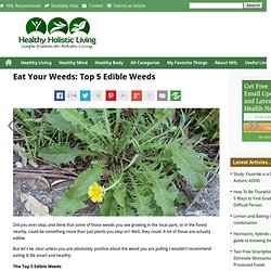 Eat Your Weeds: Top 5 Edible Weeds