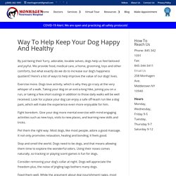 Way To Help Keep Your Dog Happy And Healthy