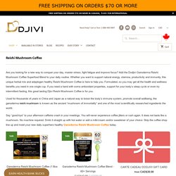 Buy Natural Reishi Mushroom Coffee Online