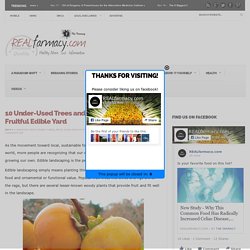10 Under-Used Trees and Shrubs For the Fruitful Edible Yard