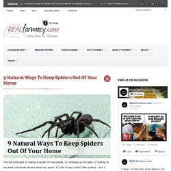 9 Natural Ways To Keep Spiders Out Of Your Home