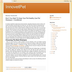 InnovetPet: Don’t You Want To Keep Your Pet Healthy Use Pet Shampoo + Conditioner