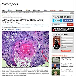 Why Most of What You've Heard About Cancer Is Wrong