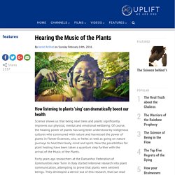 Hearing the Music of the Plants