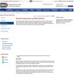 Heart Contraction and Blood Flow - NHLBI, NIH