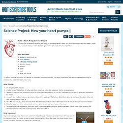 Heart Pump Project