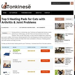 Heating Pad for Cats with Arthritis & Joint Problems - Top 5 Picks!