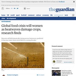 Global food crisis will worsen as heatwaves damage crops, research finds
