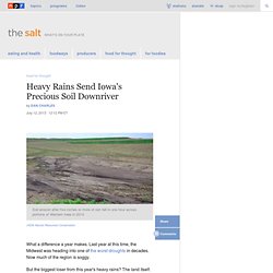 Heavy Rains Send Iowa's Precious Soil Downriver : The Salt