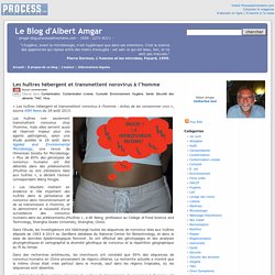 BLOG D ALBERT AMGAR 28/08/15 Les huîtres hébergent et transmettent norovirus à l’homme