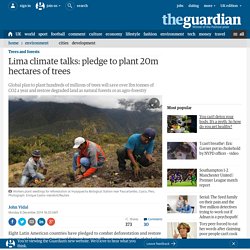 Lima climate talks: pledge to plant 20m hectares of trees