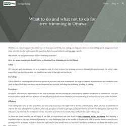 Hedgeking - What to do and what not to do for tree trimming in Ottawa