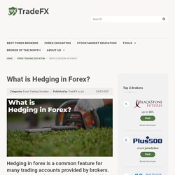 What is Hedging in Forex? - A Beginner's Guide