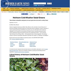 Heirloom Cold-Weather Salad Greens - Organic Gardening