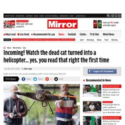 Cat helicopter: Watch dead cat turned into helicopter known as Orvillecopter by Dutch artist